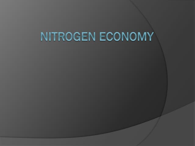 2 Nitrogen Economy-converted-compressed_250501_131402.pdf