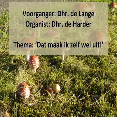 Dat maak ik zelf wel uit...! | PPT