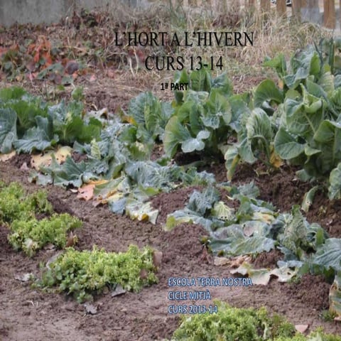 2n trimestre 13 14. 1a par tppt