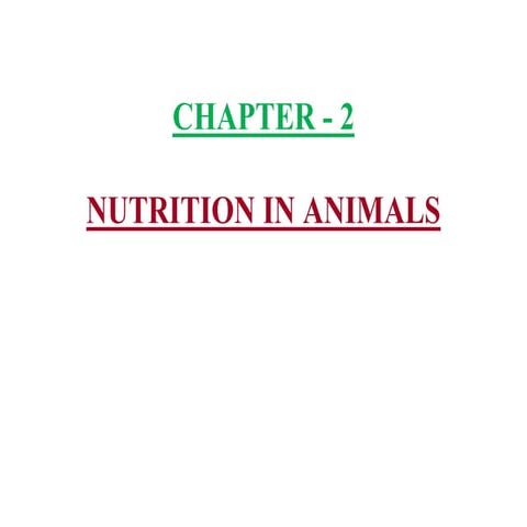 Class-7 science Chapter-2 Nutrition in animals