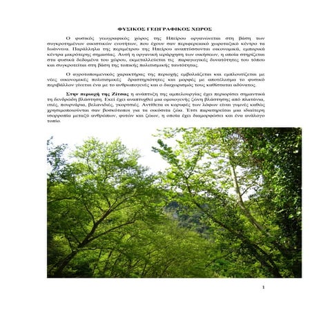 Οικιστική γεωγραφία του Δήμου Ζίτσας  μέρος 2oν