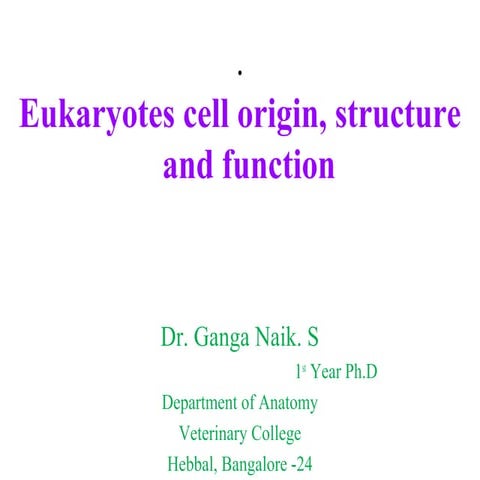 2, origin, structure and function of eucaryotes cells 5 11-2012