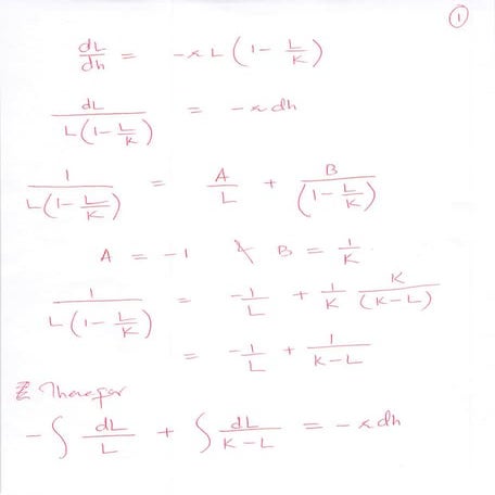 Decay Model | PDF