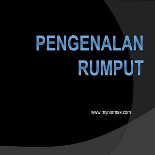 Pengenalan kepada rumput