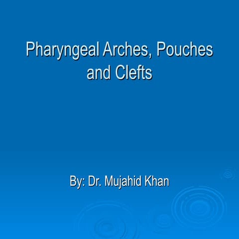 Pharyngeal arches pouches and clefts | PPTX