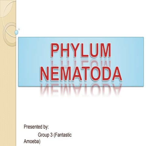 Phylum Nematoda