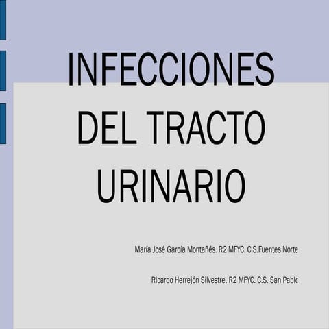 (2013-10-24) Infecciones del tracto urinario (ppt)
