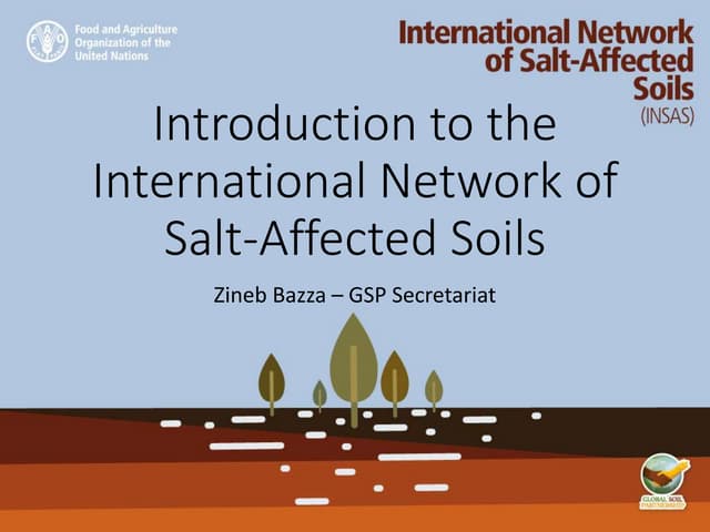 Introduction to the International Network of Salt-Affected Soils and update on the Global Soil Salinity Map
