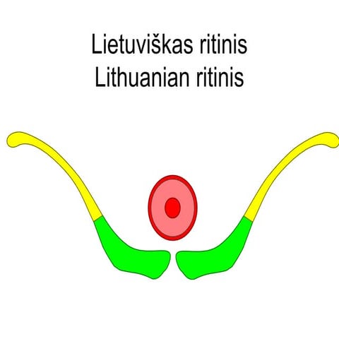 Lithuanian Ritinis Sport Federation - Edgaras Dirzius | PPT