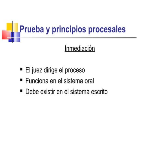Fases de la prueba | PDF