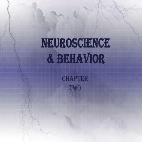 Psych 200   Neuroscience and Behavior