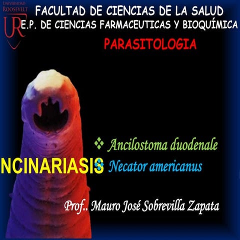 Clase 10 uncinariasis