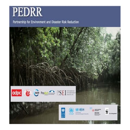 2 radhika murti pedrr workshop introductory session [compatibility mode]