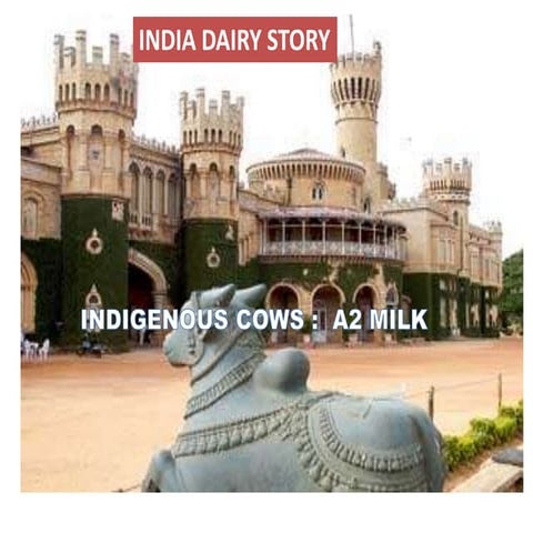 Indigenous breeds A2 milk production