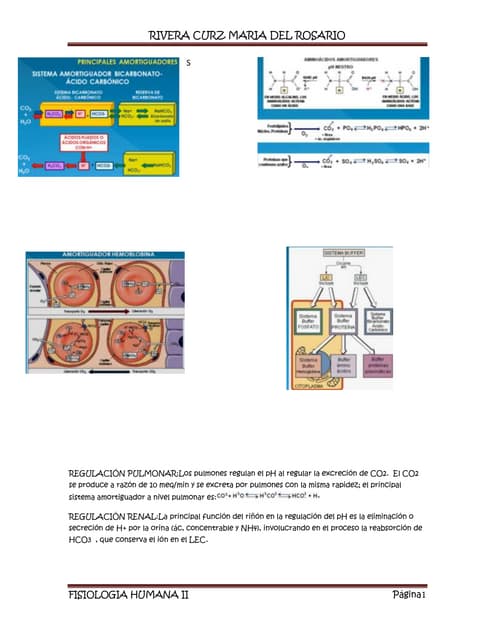 aaaa.docx