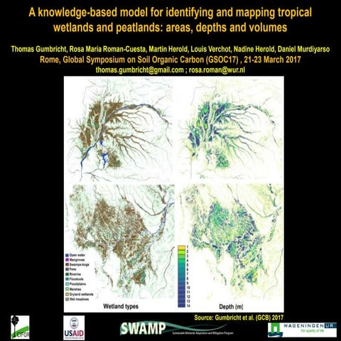A knowledge-based model for identifying and mapping tropical wetlands and pea...