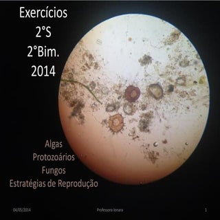 2 s   exercicios_monera protista e ...
