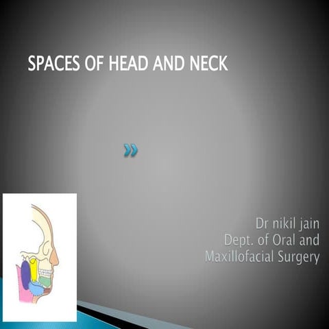 SPACES OF HEAD AND NECK