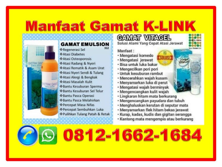 Dari Pabrik Gamat K Link Untuk Diabetes 0812 1662 1684 T Sel Dari Pabrik Gamat K Link Untuk Diabetes 0812 1662 1684 T Sel