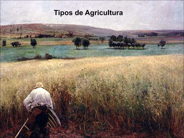 2 tipos de agricultura