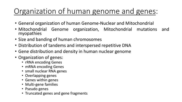 2UnitGenomeOrganization.pptx