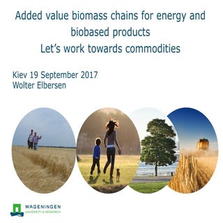 Added value biomass chains for ener...