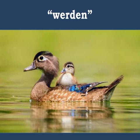 A1/ A2 : werden - wollen - Berufe erraten | PPTX