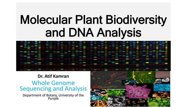2 whole genome sequencing and analysis