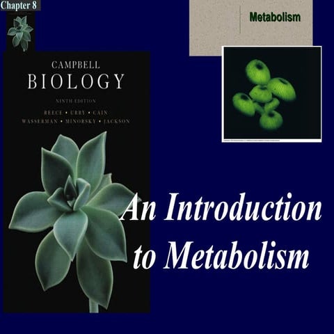 Chapter 08 An Introduction to Metabolism