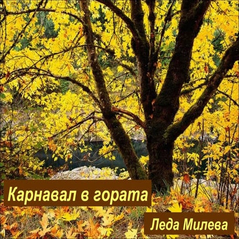 Карнавал в гората