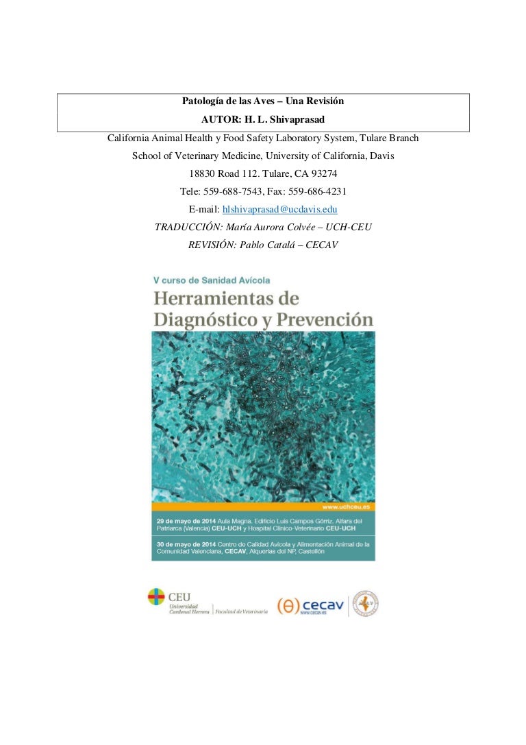 enfermedad del pullorum patogénesis de la diabetes