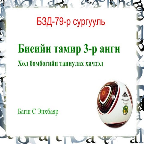 нурууны булчин