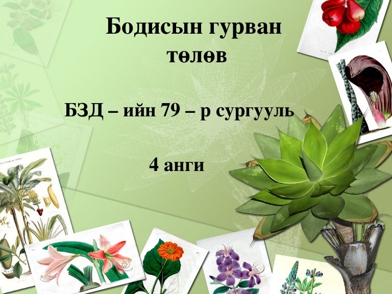 бодисын 3 төлөв