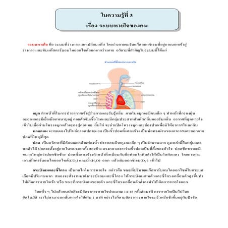 ใบความรู้3