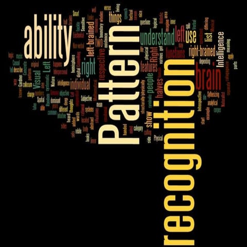 3.1 2013 brain studies