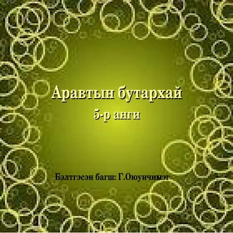 аравтын бут 3