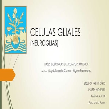 3. celulas gliales (neuroglias) 2