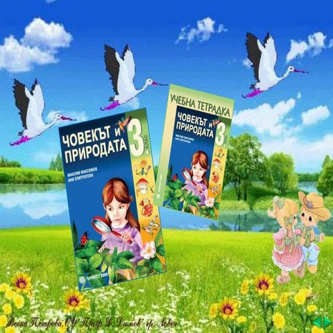 Телата около нас - ЧП - 3 клас - Булвест | PPT