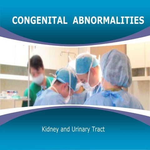 congenital anomalies of renal system