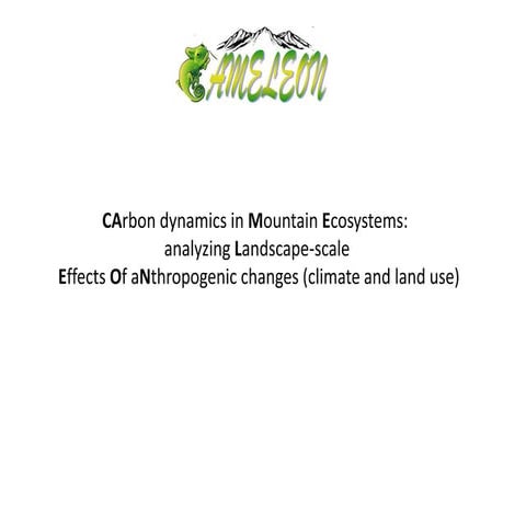 CAMELEON- Carbon Dynamics in Mountain Ecosystems: analyzing landscape-scale e...