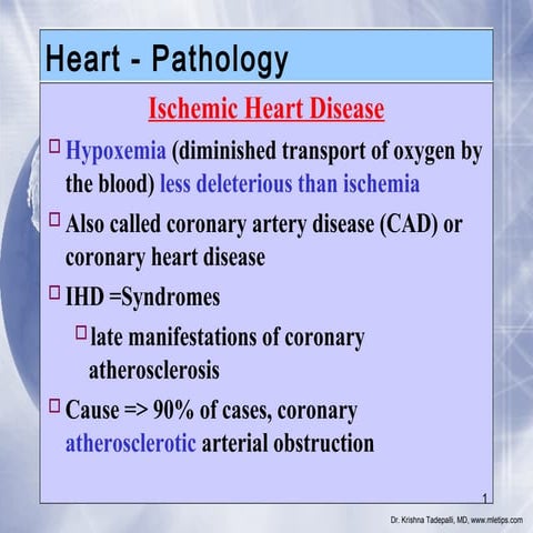 3. heart patghology; ischemic heart diseases