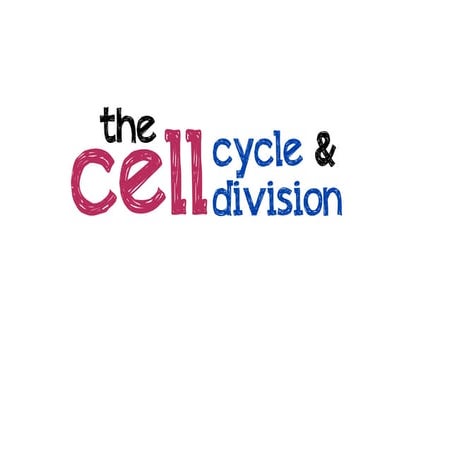 The Cell Cycle and Division