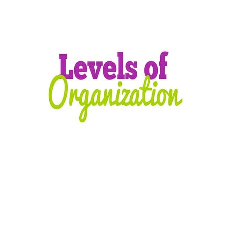 Levels of Organization (cell to organism) 