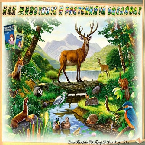 Как растенията и животните оцеляват - ЧП, 3 клас, Булвест