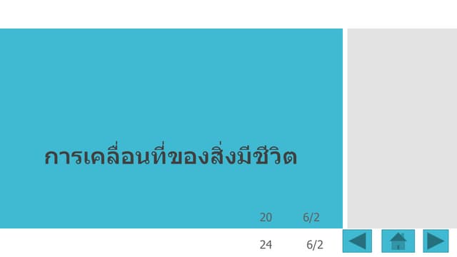 การเคลื่อนที่ของสิ่งมีชีวิต 3