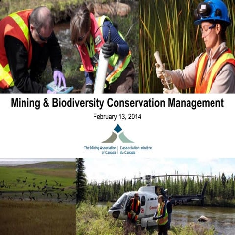 Mining & Biodiversity Conservation Management
