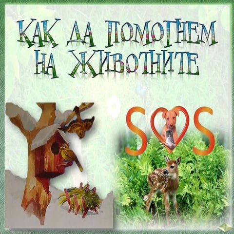 Как да помогнем на животните - ЧП, 3 клас, Булвест