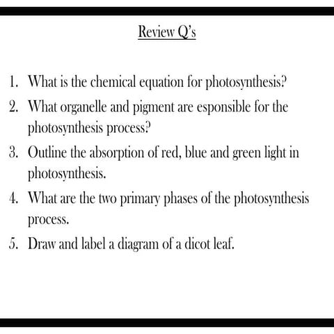 3.8   biochemistry - photosynthesis
