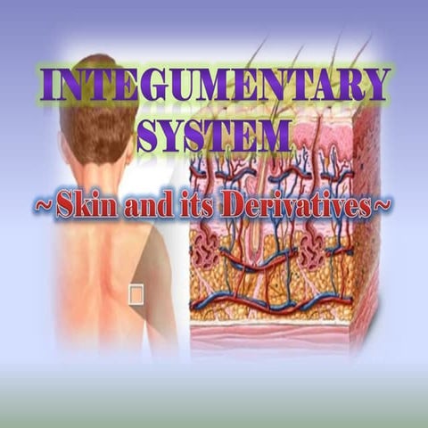 Skin and the Aging Process | PPTX