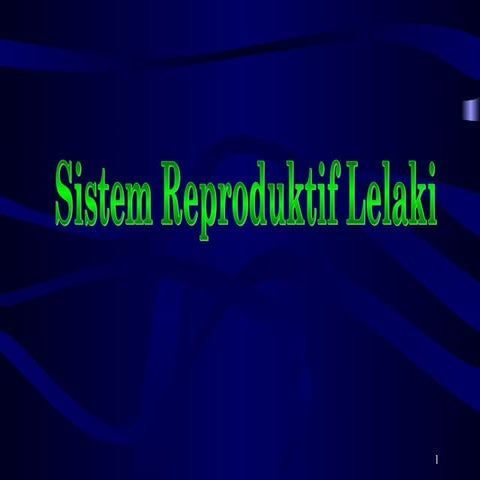 3.1 struktur & fungsi reproduktif lelaki